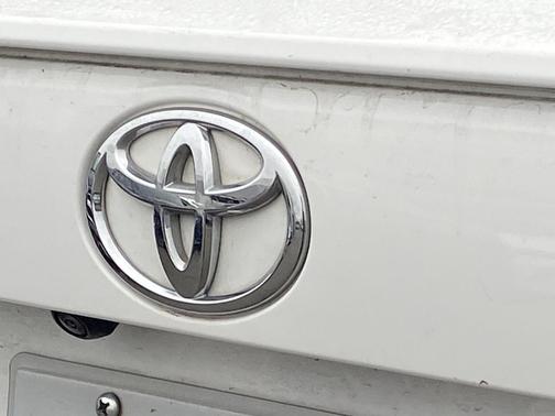 Ice 2025 Toyota RAV4 LE
