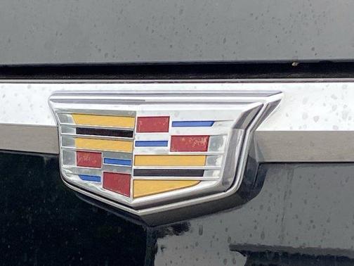 Black Raven 2019 Cadillac Escalade Luxury