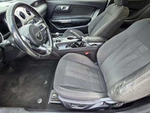 Grey 2019 Ford Mustang GT