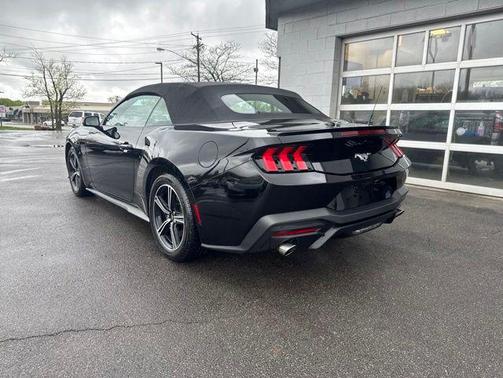 Shadow Black 2025 Ford Mustang EcoBoost Premium