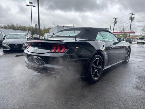 Shadow Black 2025 Ford Mustang EcoBoost Premium