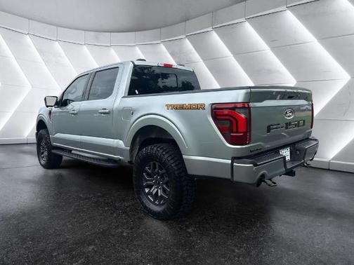 ICONIC SILVER METALLIC 2024 Ford F-150 TREMOR