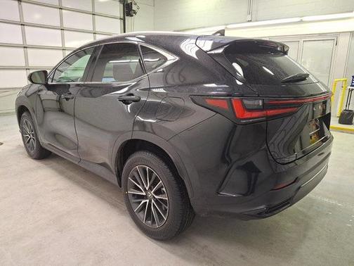 2024 Lexus NX 350h Premium
