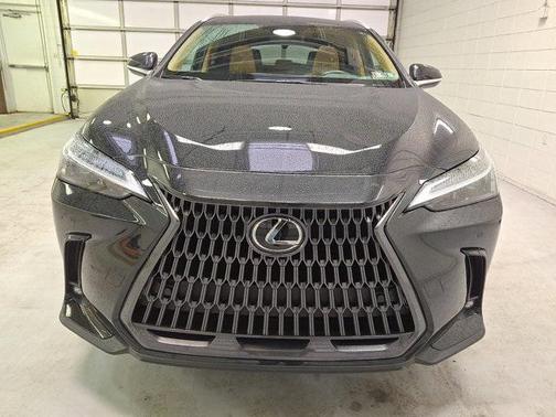 2024 Lexus NX 350h Premium