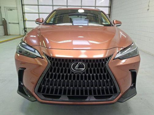 Copper 2025 Lexus NX 350 Premium