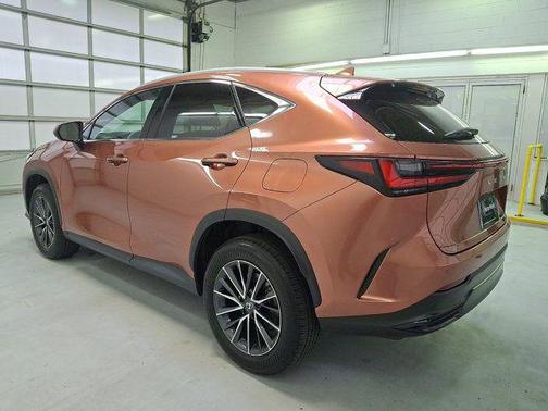 Copper 2025 Lexus NX 350 Premium