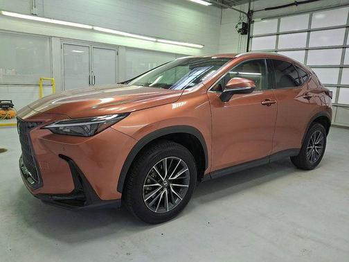 Copper 2025 Lexus NX 350 Premium