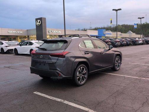 Cloudburst Gray 2026 Lexus UX 300h Premium
