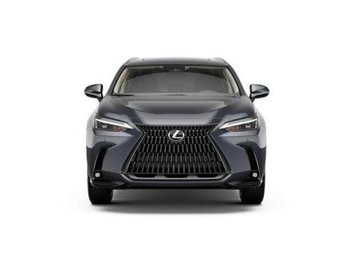 Cloudburst Gray 2026 Lexus NX 350 350 Premium