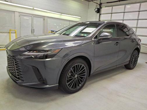 Cloudburst Gray 2025 Lexus RX 350 Premium