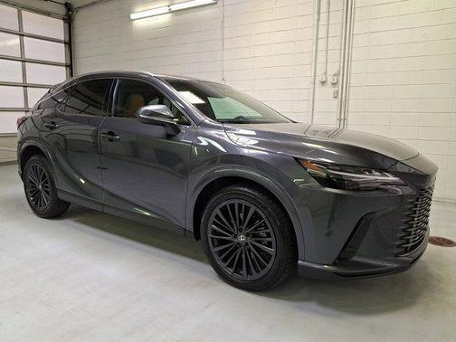 Cloudburst Gray 2025 Lexus RX 350 Premium
