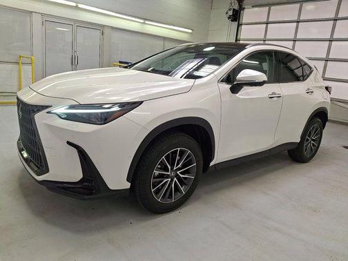White Pearl 2025 Lexus NX 350h Luxury