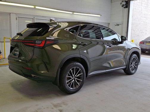 Nori Green Pearl 2024 Lexus NX 350h Premium