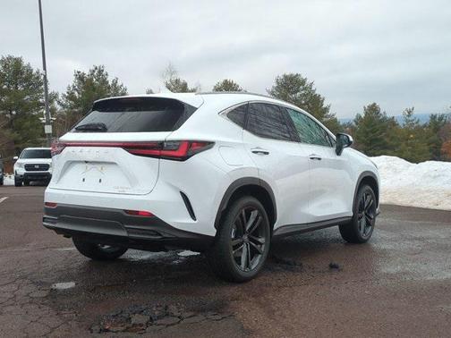 2026 Lexus NX 450h+ Luxury