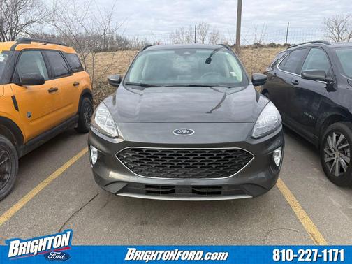 Magnetic 2020 Ford Escape Titanium