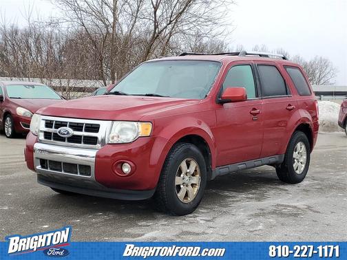 2011 Ford Escape Limited
