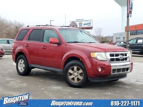 2011 Ford Escape Limited