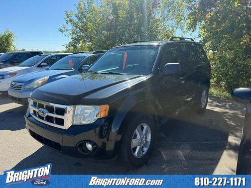2010 Ford Escape XLT