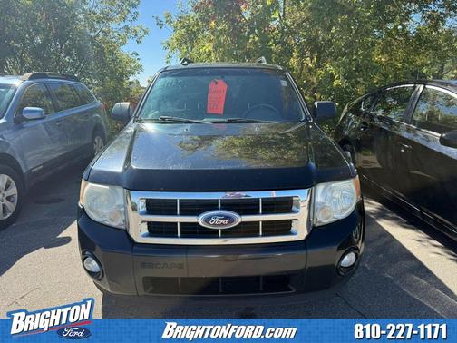 2010 Ford Escape XLT
