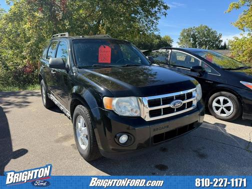 2010 Ford Escape XLT