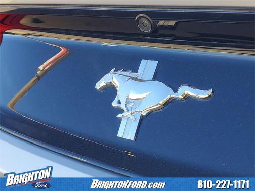 2015 Ford Mustang V6