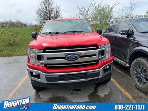 Race Red 2019 Ford F-150 XLT