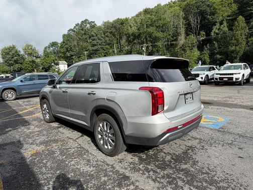 Typhoon Silver 2025 Hyundai PALISADE SEL