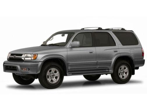 Dorado Gold/Thunder Cloud Cladding 2001 Toyota 4Runner Limited