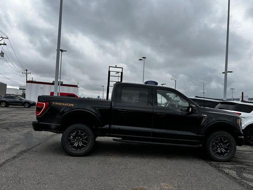 Agate Black Metallic 2023 Ford F-150 Tremor