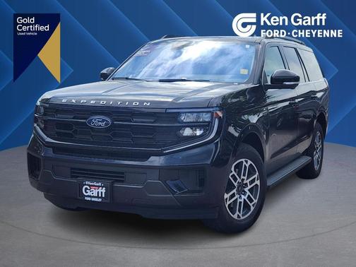 Agate Black Metallic 2025 Ford Expedition Active