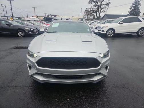 2019 Ford Mustang EcoBoost