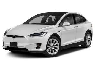 Gray 2020 Tesla Model X Performance Dual Motor All-Wheel Drive