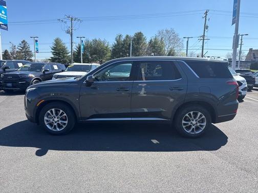 Rainforest 2020 Hyundai PALISADE SE