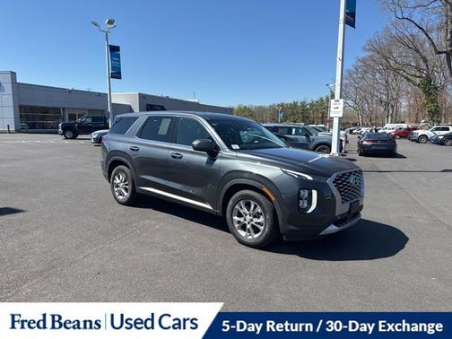 Rainforest 2020 Hyundai PALISADE SE