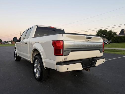 White 2019 Ford F-150 Platinum
