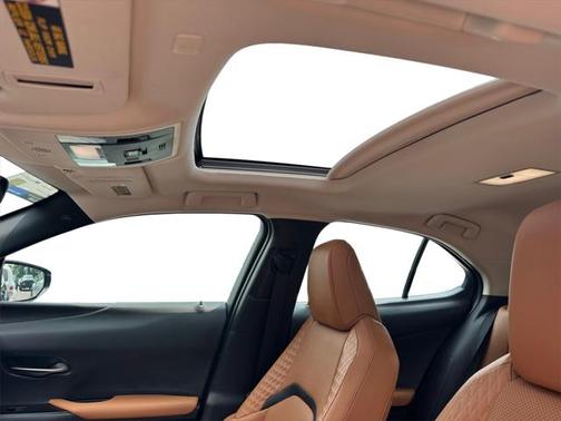 2020 Lexus UX 250h Base