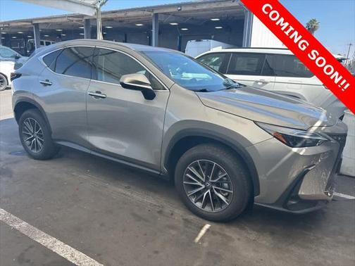 2025 Lexus NX 250 Base