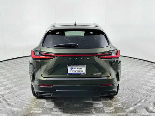 Nori Green Pearl 2024 Lexus NX 250 Premium