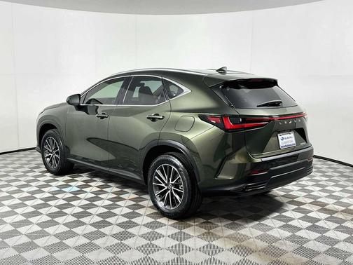 Nori Green Pearl 2024 Lexus NX 250 Premium
