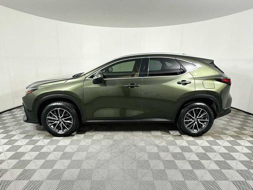 Nori Green Pearl 2024 Lexus NX 250 Premium