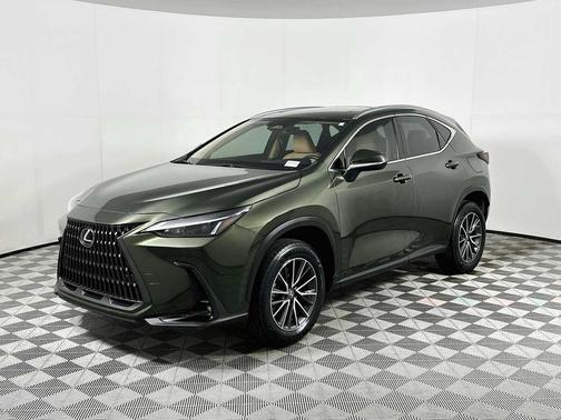 Nori Green Pearl 2024 Lexus NX 250 Premium