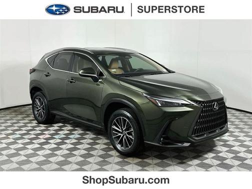 Nori Green Pearl 2024 Lexus NX 250 Premium