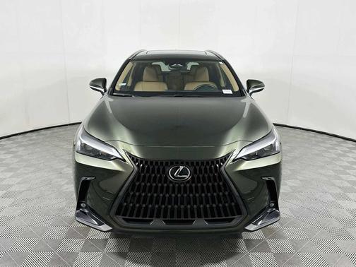 Nori Green Pearl 2024 Lexus NX 250 Premium
