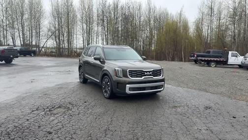 Dark Moss 2024 Kia Telluride SX Prestige