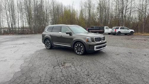 Dark Moss 2024 Kia Telluride SX Prestige