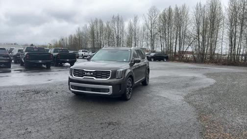 Dark Moss 2024 Kia Telluride SX Prestige