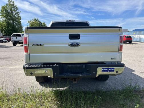Ingot Silver 2010 Ford F-150 XL