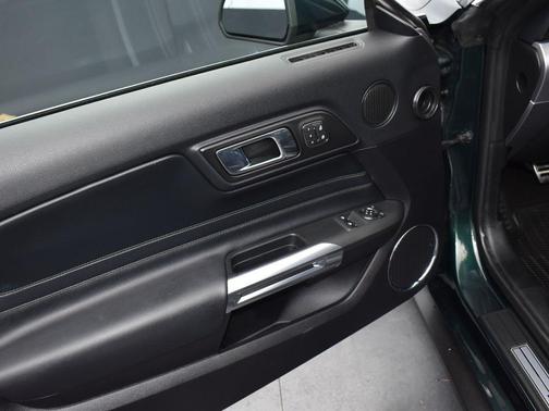 2019 Ford Mustang Bullitt