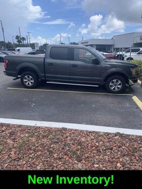 Magnetic 2019 Ford F-150 XLT
