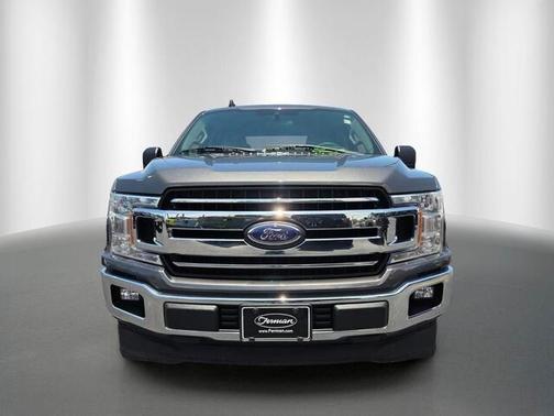 Magnetic 2019 Ford F-150 XLT